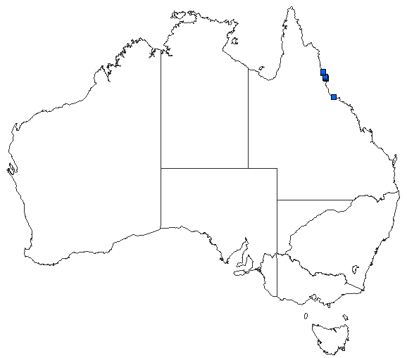 Australian distribution of Agriocnemis dobsoni