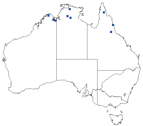 Australian distribution of Antipodogomphus neophytus
