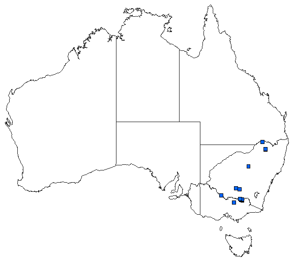 Australian distribution of Apocordulia macrops