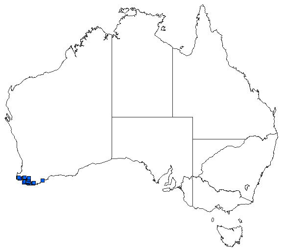 Australian distribution of Archiargiolestes pusillissimus