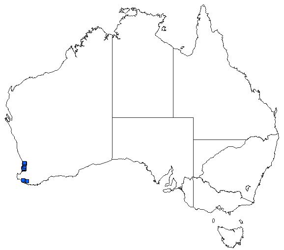 Australian distribution of Armagomphus armiger