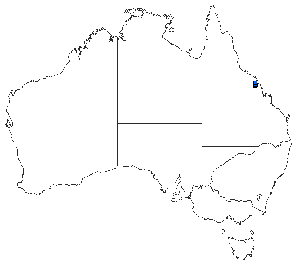 Australian distribution of Austroaeschna eungella