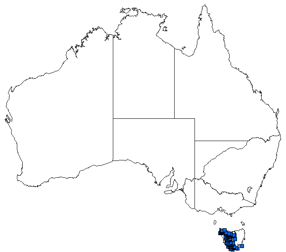 Australian distribution of Austroaeschna hardyi