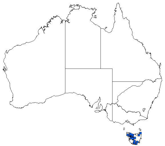 Australian distribution of Austroaeschna tasmanica