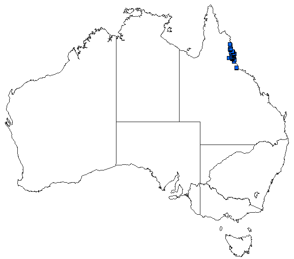Australian distribution of Austroaeschna weiskei