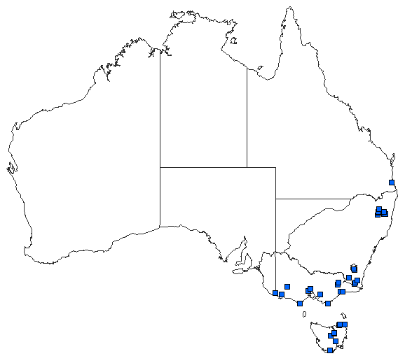 Australian distribution of Austrocoenagrion lyelli