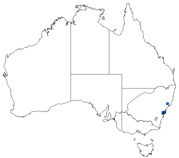 Australian distribution of Austrocordulia leonardi