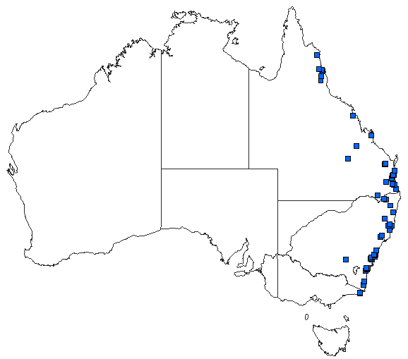 Australian distribution of Austrocordulia refracta