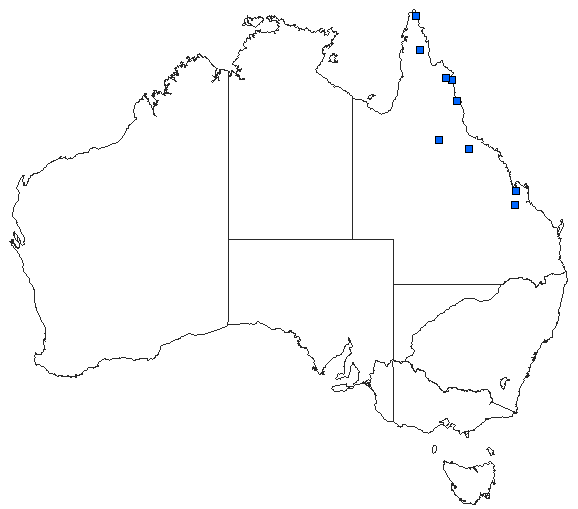 Australian distribution of Austrogomphus arbustorum