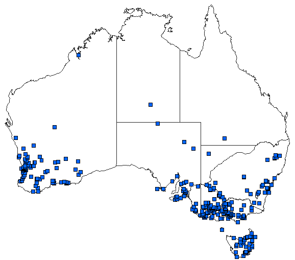 Australian distribution of Austrolestes annulosus