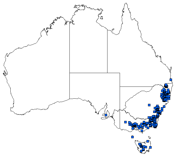 Australian distribution of Austrolestes cingulatus