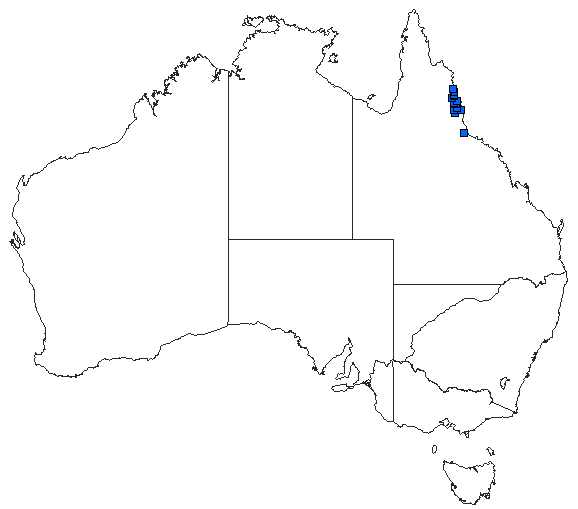 Australian distribution of Austrophya mystica