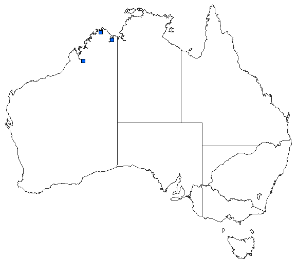 Australian distribution of Austrosticta soror
