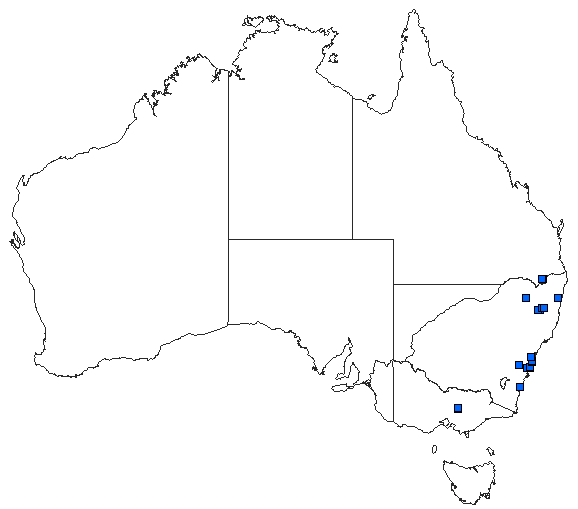 Australian distribution of Caliagrion billinghursti