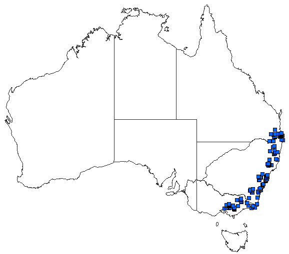 Australian distribution of Diphlebia lestoides