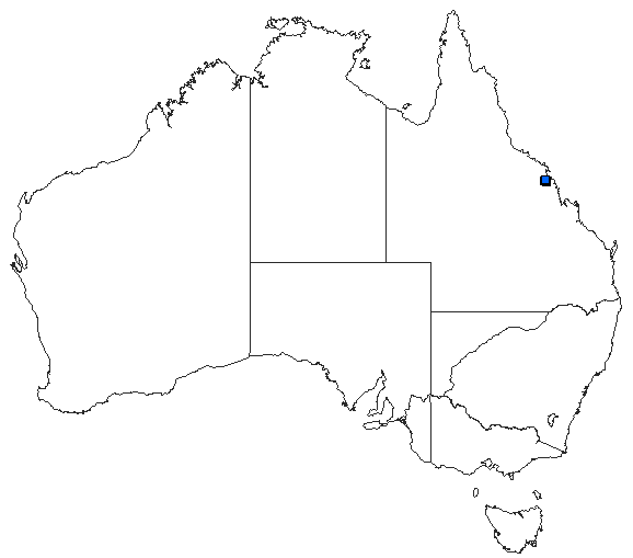 Australian distribution of Episynlestes intermedius