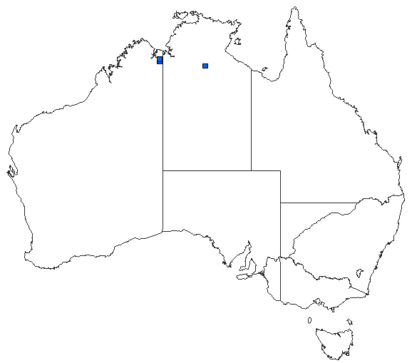 Australian distribution of Eurysticta kununurra