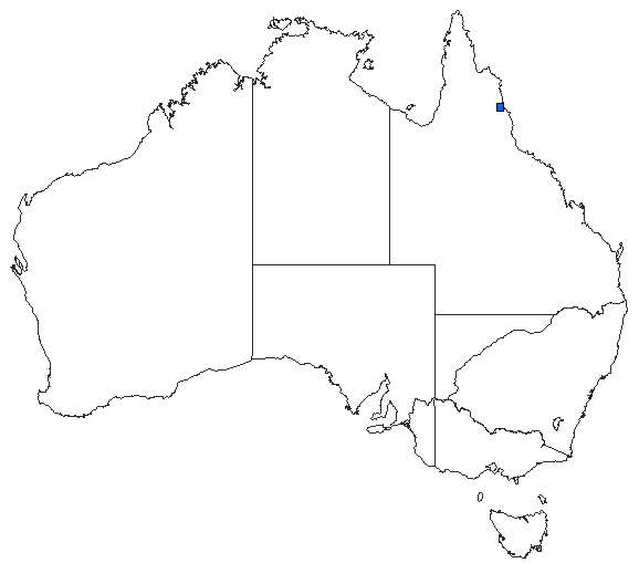 Australian distribution of Eusynthemis barbarae