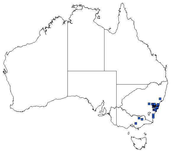Australian distribution of Eusynthemis tillyardi
