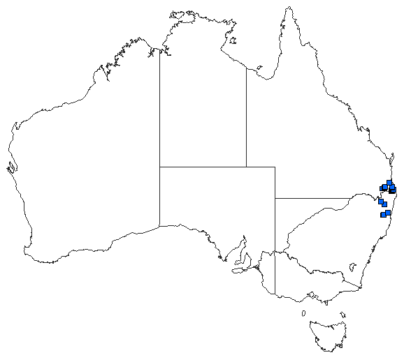 Australian distribution of Griseargiolestes fontanus