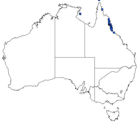 Australian distribution of Gynacantha rosenbergi