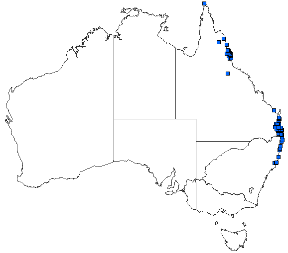 Australian distribution of Hemicordulia continentalis