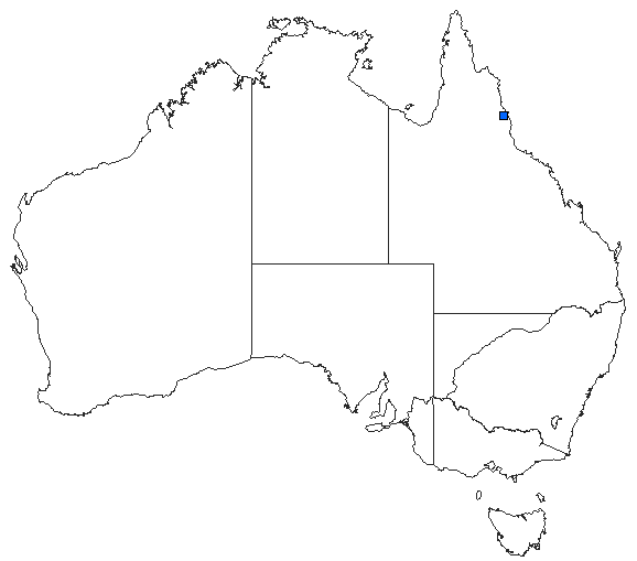 Australian distribution of Hemigomphus atratus