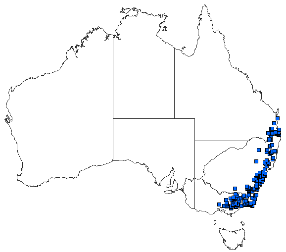 Australian distribution of Hemigomphus gouldii