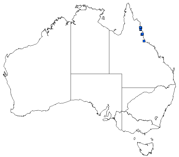 Australian distribution of Lestoidea brevicauda