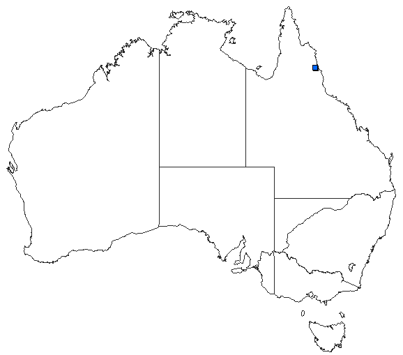 Australian distribution of Lestoidea lewisiana