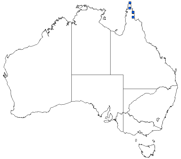 Australian distribution of Macromia viridescens
