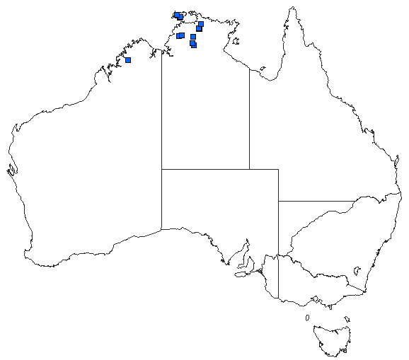 Australian distribution of Nannophlebia mudginberri