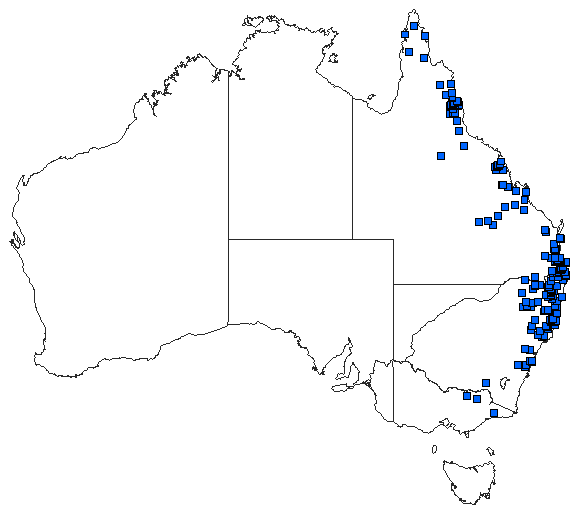 Australian distribution of Nannophlebia risi