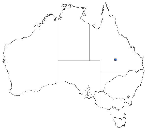 Australian distribution of Nannophya fenshami