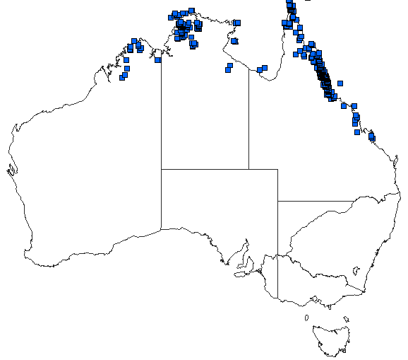 Australian distribution of Neurothemis stigmatizans