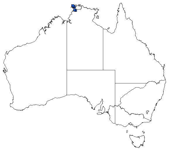 Australian distribution of Nososticta koolpinyah