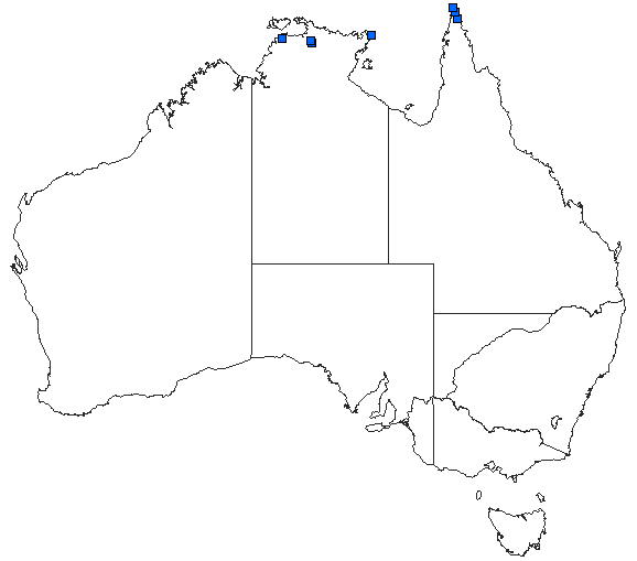 Australian distribution of Orthetrum balteatum