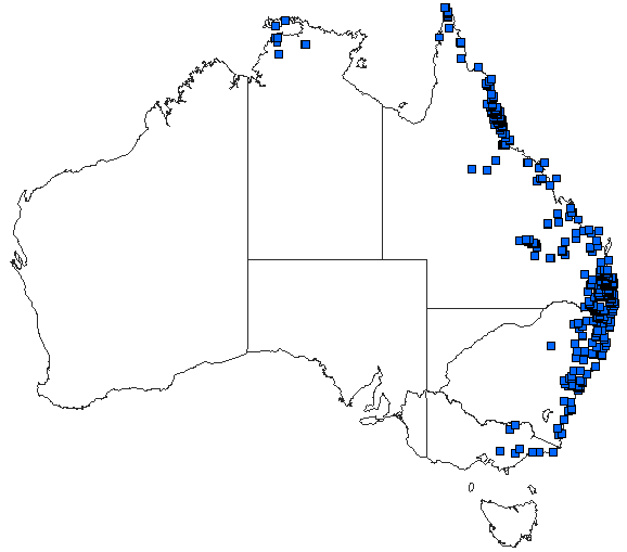 Australian distribution of Orthetrum villosovittatum