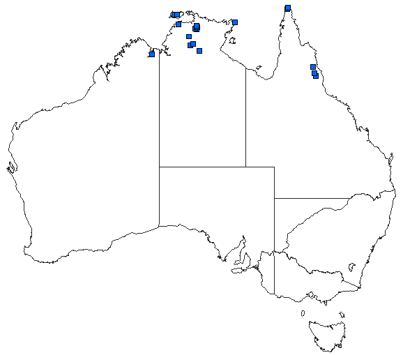 Australian distribution of Pentathemis membranulata