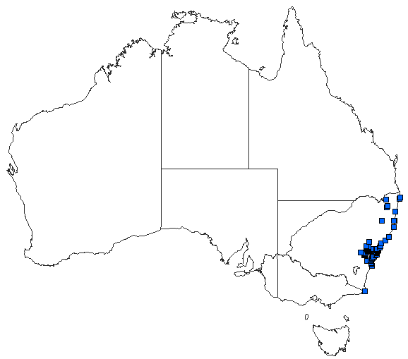 Australian distribution of Petalura gigantea