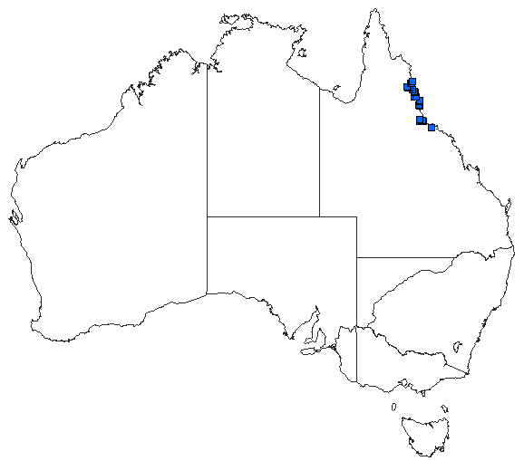 Australian distribution of Petalura ingentissima