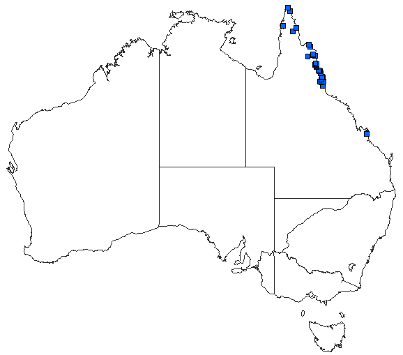 Australian distribution of Rhyothemis resplendens