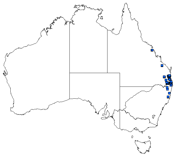 Australian distribution of Telephlebia cyclops