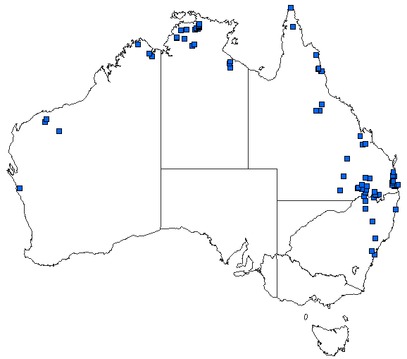 Australian distribution of Zyxomma elgneri