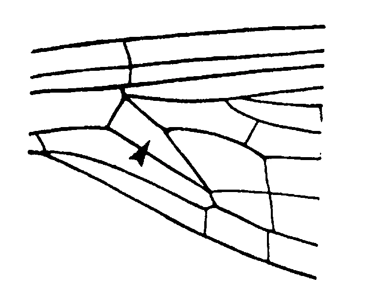 couplet drawing
