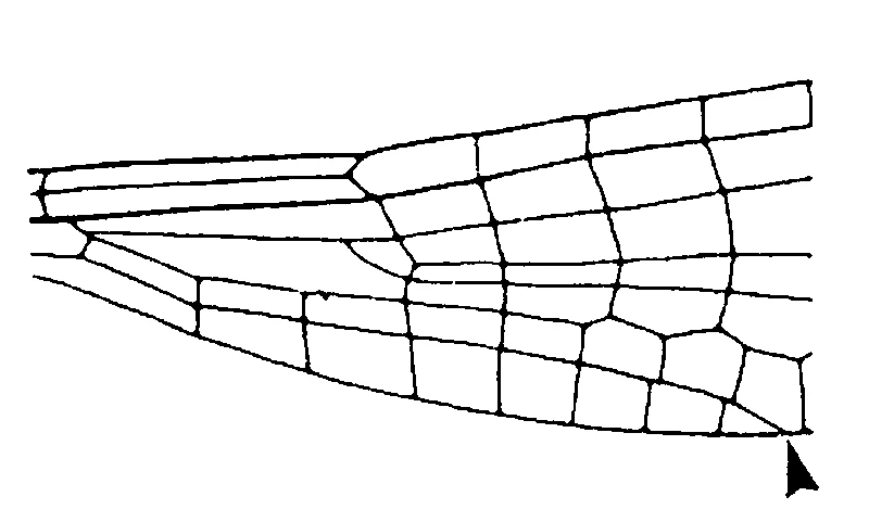 couplet drawing