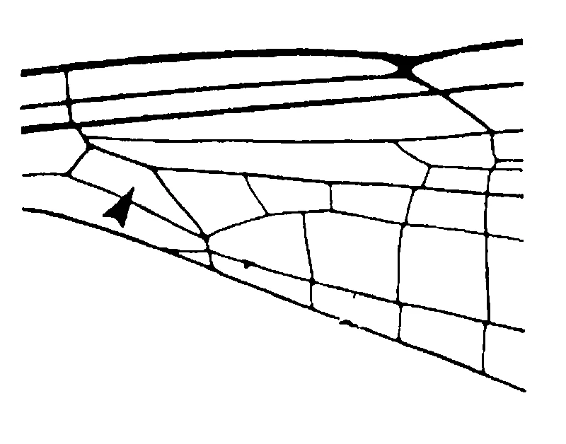 couplet drawing