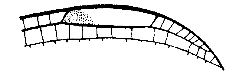 couplet drawing