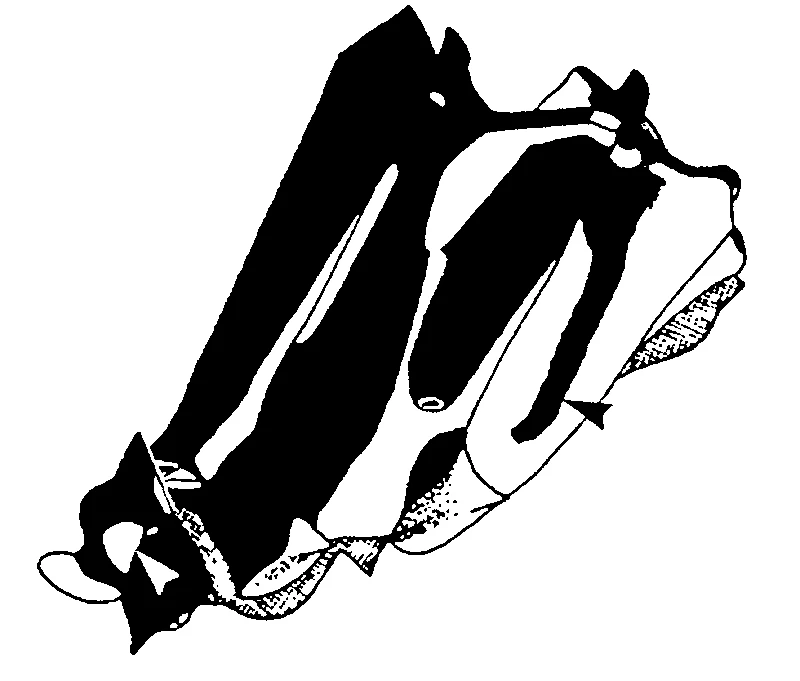 couplet drawing