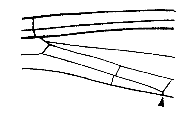 couplet drawing